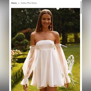 Alamour the Label Celine Mini Dress